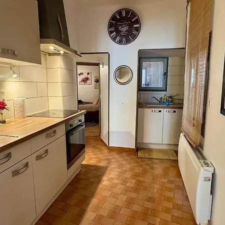 Ammonite Apartament