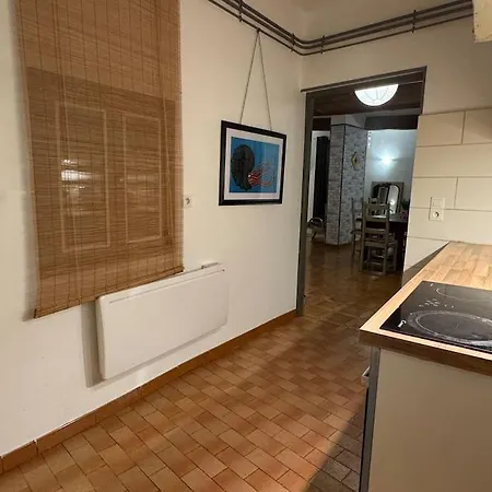 Ammonite Apartament