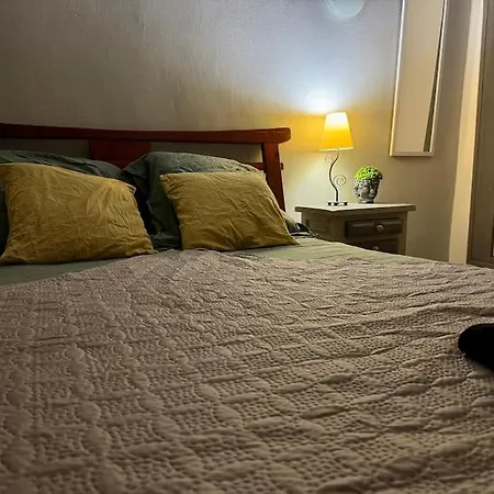 Ammonite Apartament